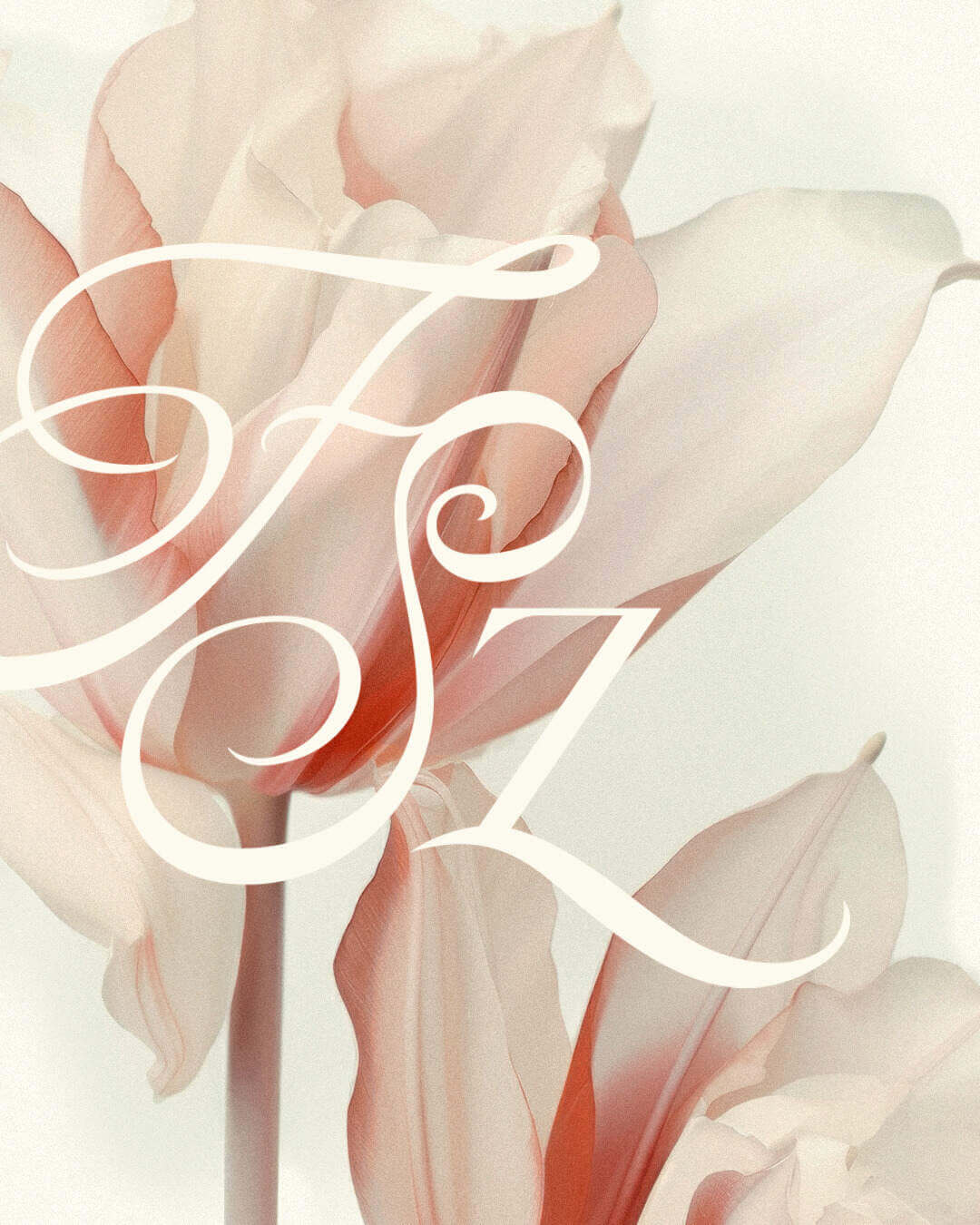 Forma és Színvilág kalligrafikus FSZ logó virág háttérrel