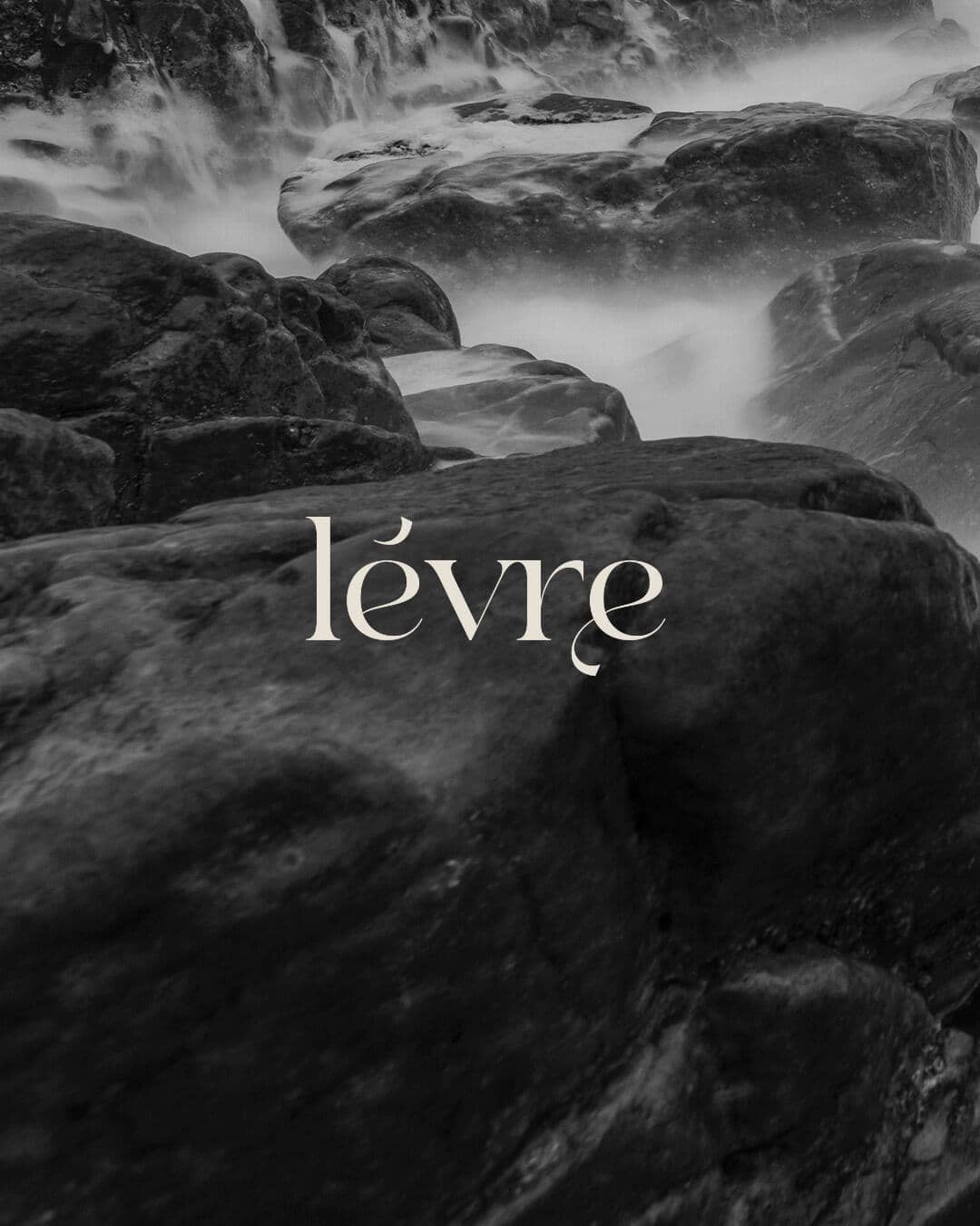 Letisztult márkaidentitás a természet inspirációjával